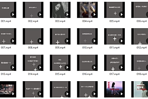 【020期】情感语录视频素材,有声有字幕(3000+)