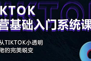 （0685期）Tiktok实操进阶课程，体验从tiktok小透明到大佬的完美蜕变，掌握一项新的流量变现工具