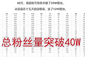 （0744期）倪叶明·蓝海公众号矩阵项目训练营，0粉冷启动，公众号矩阵账号粉丝突破30w