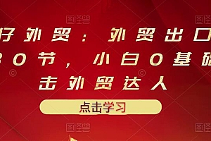 (1278期)业仔外贸·外贸出口详解30节,小白0基础进击外贸达人 价值666元(已失效)