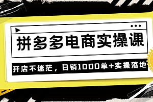(1678期)不灭电商·《拼多多电商实操课》开店不迷茫,日销1000单+实操落地