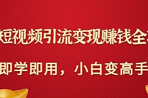(1820期)快手短视频引流变现赚钱全攻略:即学即用,小白变高手(价值980元)
