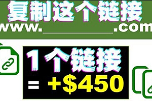 (1894期)复制链接赚美元,一个链接可赚450+,利用链接点击即可赚钱的项目(视频教程)