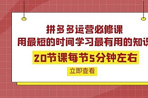 (2109期)拼多多运营必修课:20节课每节5分钟左右,用最短的时间学习最有用的知识