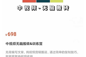 (2145期)中视频无脑搬砖训练营,纯视频剪辑搬运,轻松上手批量起号,工作室可放大