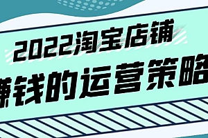 (2301期)震宇老师·2022年淘宝店铺赚钱的运营策略,一套能够盈利的赚钱打法