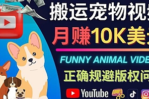 (2469期)搬运TIKTOK视频到YouTube,并进行二次创作,月赚1万美元以上