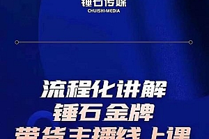 (2505期)锤石传媒婉婉·金牌带货主播线上课,流程化讲解,打造金牌带货主播