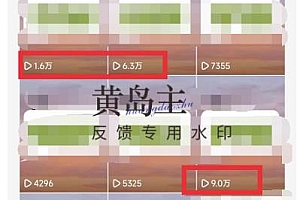 (2530期)黄岛主·副业孵化营第5期:抖音情感中视频变现项目孵化单条视频收益几十上百