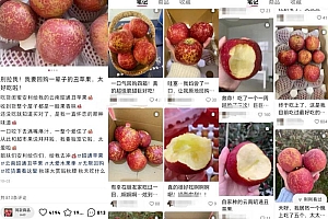 小红书水果赛道副业项目思路,小白都可以轻松日入500+,只要一台手机即可!