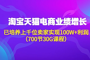 （2651期）淘系天猫电商业绩增长：已培养上千位卖家实现100W+利润（700节30G课程）