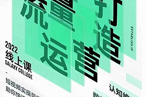 (2814期)大蓝流量运营&个人ip打造课,短视频带货/爆款文案/流量运营/直播入门/镜头变现/流量商业