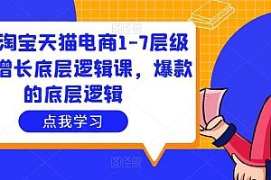 (2855期)大圣·淘宝天猫电商1-7层级盈利增长底层逻辑课,爆款的底层逻辑