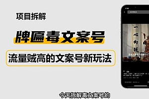 (2890期)2023抖音快手毒文案新玩法,牌匾文案号,起号快易变现