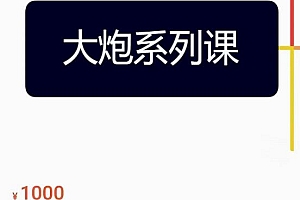 (2908期)大炮·拼多多运营系列课,各类玩法合集,拼多多运营玩法实操