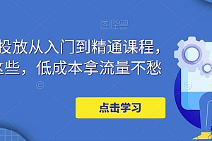 (3101期)万相台投放从入门到精通课程,学会这些,低成本拿流量不愁