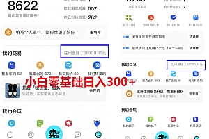 (4030期)2023最新闲鱼冷门蓝海玩法,小白零成本当天出单日入200+