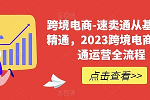 (4353期)跨境电商-速卖通从基础到精通,2023跨境电商速卖通运营全流程