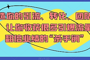 (6680期)打造你的引流、转化、团队系统,让你收获很多引爆流量、翻倍业绩的“杀手锏”