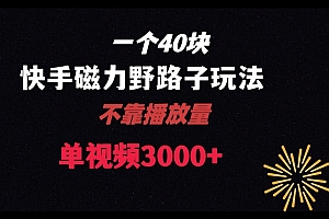(7129期)一个40块,快手联合美团磁力新玩法,无视机制野路子玩法,单视频收益4位数