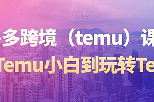 （7172期）拼多多跨境（temu）课程，从Temu小白到玩转Temu