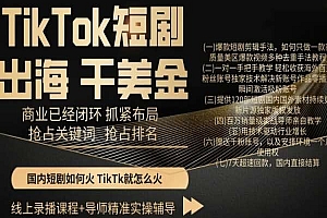 （7387期）TikTok短剧出海干美金，商业已经闭环抓紧布局，抢占关键词抢占排名