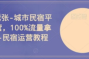 （7409期）民宿老张-城市民宿平台运营，100%流量拿满分-民宿运营教程