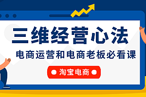 (8751期)淘宝电商三维经营心法:电商运营和电商老板必看课
