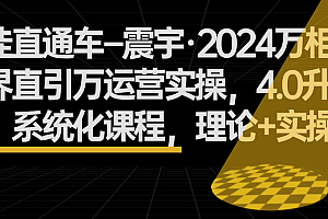 (8817期)御佳直通车–震宇·2024万相无界直引万运营实操,4.0升级版,系统化课程,理论+实操