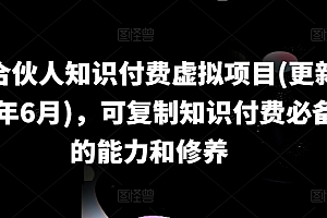 (9201期)IP合伙人知识付费虚拟项目(更新24年6月),可复制知识付费必备的能力和修养