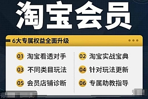 (9678期)淘宝会员【淘宝所有课程,全面分析对手】,初级到高手全系实战宝典