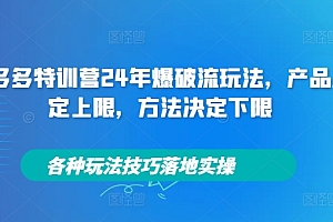 (9996期)纪主任·拼多多特训营24年爆破流玩法,各种玩法技巧落地实操