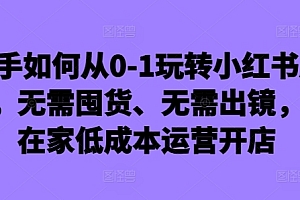 (10316期)新手如何从0-1玩转小红书店铺,无需囤货、无需出镜
