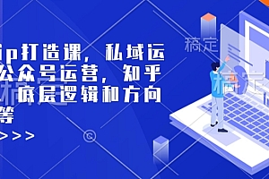(10752期)个人ip打造课,私域运营,公众号运营,知乎运营,底层逻辑和方向定位
