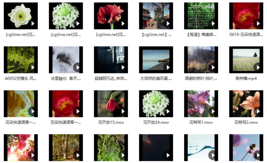 【013期】4K视频素材，含实拍、影视、风景等（239个） 资源素材 第3张