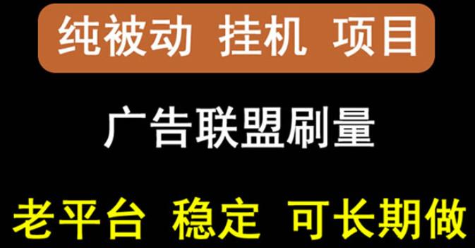 （0981期）【稳定挂机】oneptp出海广告联盟挂机项目，每天躺赚几块钱，多台批量多赚些 综合教程 第1张