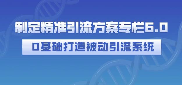 （1040期）制定精准引流方案专栏6.0，0基础打造被动引流系统（已失效） 爆粉引流软件 第1张