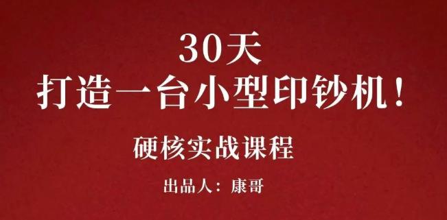 （1050期）康哥30天打造一台小型印钞机：躺赚30万的项目完整复盘（视频教程） 综合教程 第1张