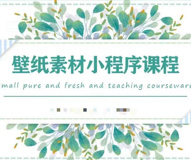 （1082期）闪闪·壁纸号运营教程，抓住图文风口，快速吸粉变现 短视频运营 第1张