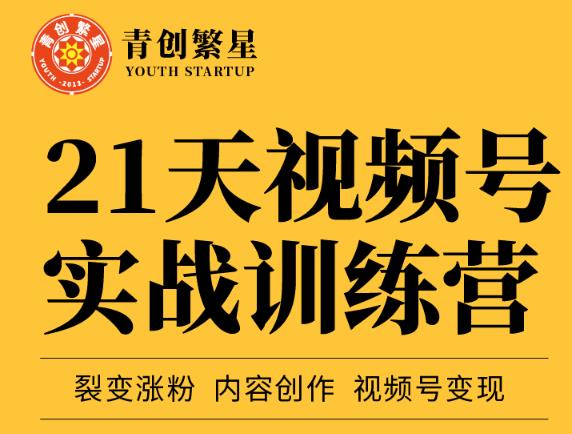 （1111期）张萌·21天视频号实战训练营，裂变涨粉、内容创作、视频号变现 价值298元（已失效） 短视频运营 第1张