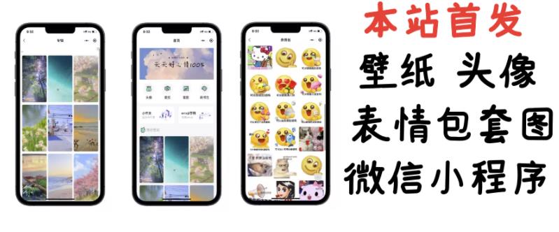 （1130期）【本站首发】小白0基础搭建微信壁纸头像表情包小程序【含源码+详细视频教程】（已失效） 源码 第1张