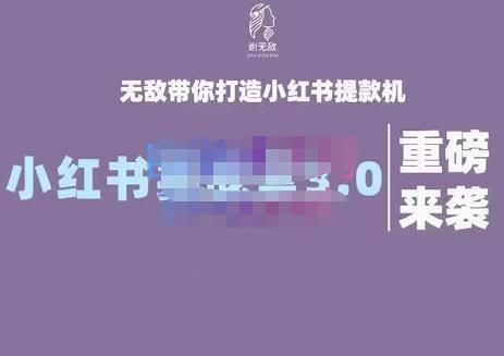 （1178期）谢无敌·小红书实战营3.0，无敌带你打造小红书提款机-价值7999元 新媒体 第1张