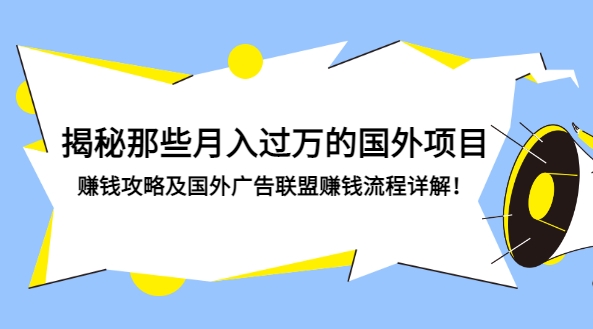 （1208期）揭秘那些月入过万的国外项目，赚钱攻略及国外广告联盟赚钱流程详解！ 综合教程 第1张