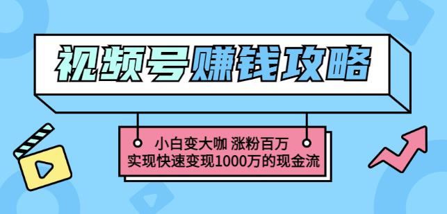 （1338期）玩转微信视频号赚钱：小白变大咖涨粉百万实现快速变现1000万的现金流 短视频运营 第1张