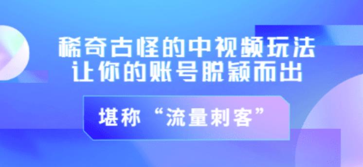 （1464期）不讲李·稀奇古怪的冷门中视频冷门玩法，让你的账号脱颖而出，成为流量刺客！（图文+视频） 新媒体 第1张