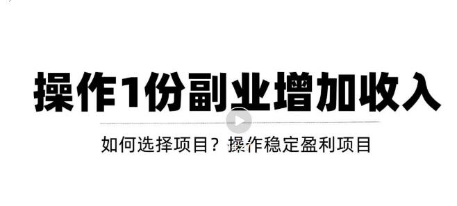 （1532期）新手如何通过操作副业增加收入，从项目选择到玩法分享！【视频教程】 综合教程 第1张