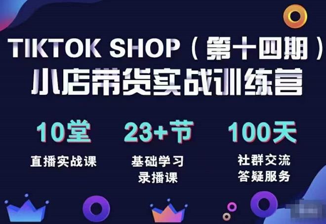 （1644期）疯人院·TikTokShop全球店带货训练营（14期）打开全球流量新思维，出海抢占全球新流量，一店卖全球 电商运营 第1张