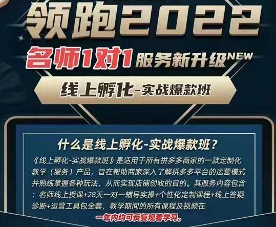 （1654期）牛气学堂·老陶电商【第9期】，拼多多名师线上领跑28天，线上孵化-实战爆款班 电商运营 第1张