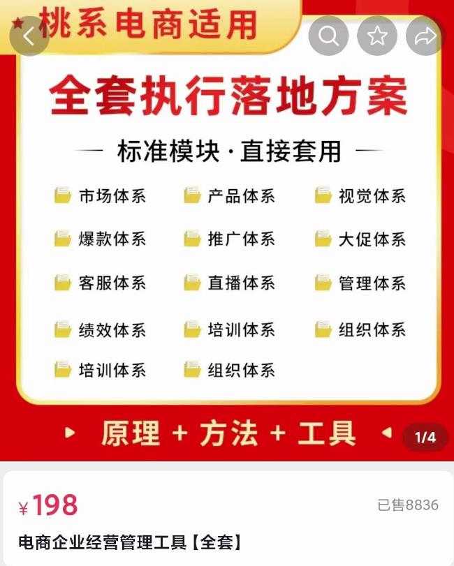 （1740期）外面卖198·电商企业经营管理工具：全套执行落地方案标准模块·直接套用 短视频运营 第1张