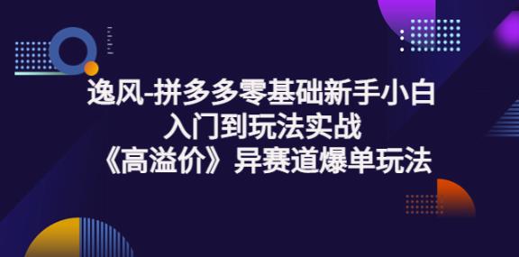 （1742期）逸风·拼多多零基础新手小白入门到玩法实战《高溢价》异赛道爆单玩法实操课 电商运营 第1张